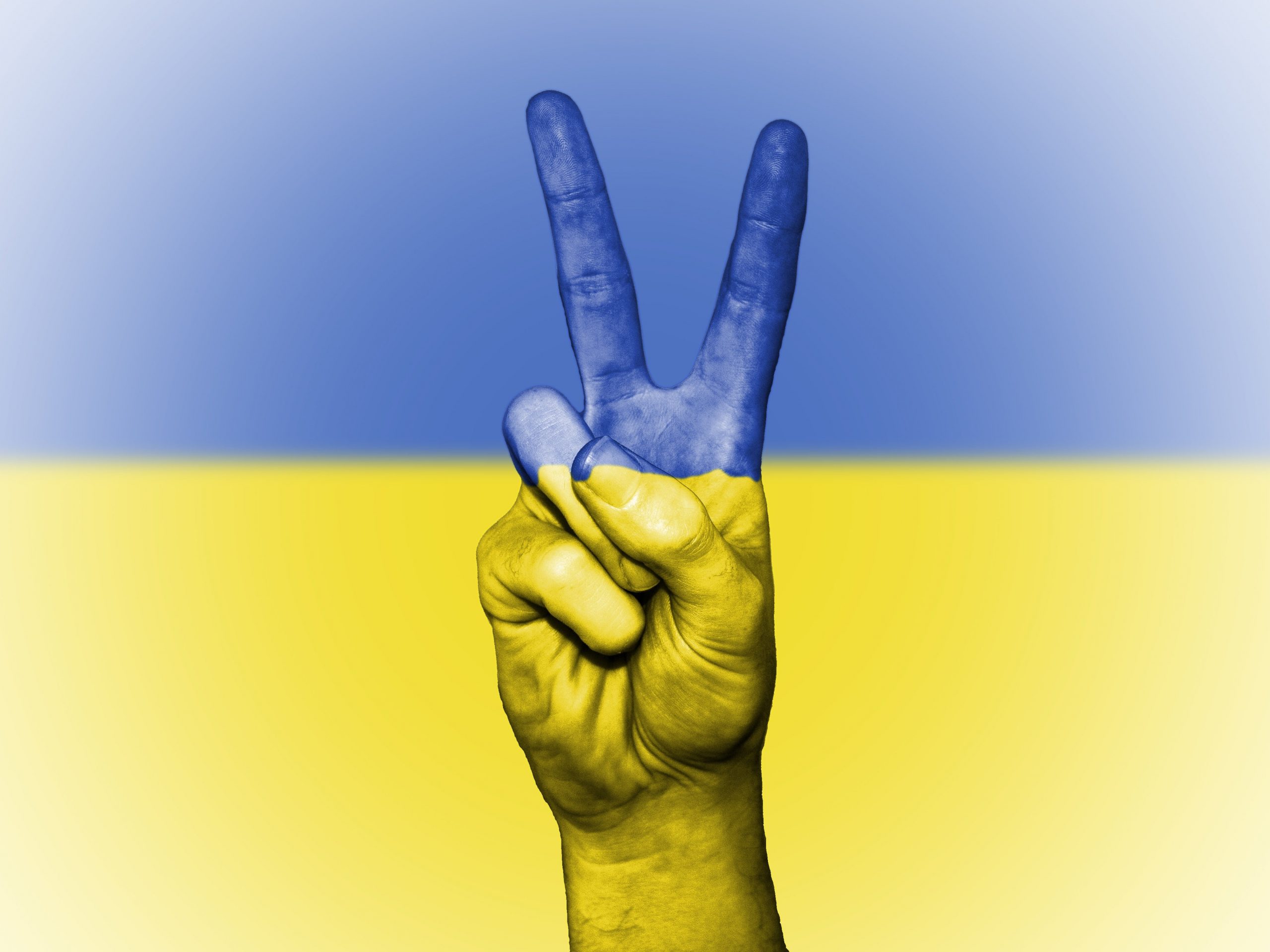 You are currently viewing Pressemitteilung. – Sofortiger Stopp der militärischen Invasion in der Ukraine